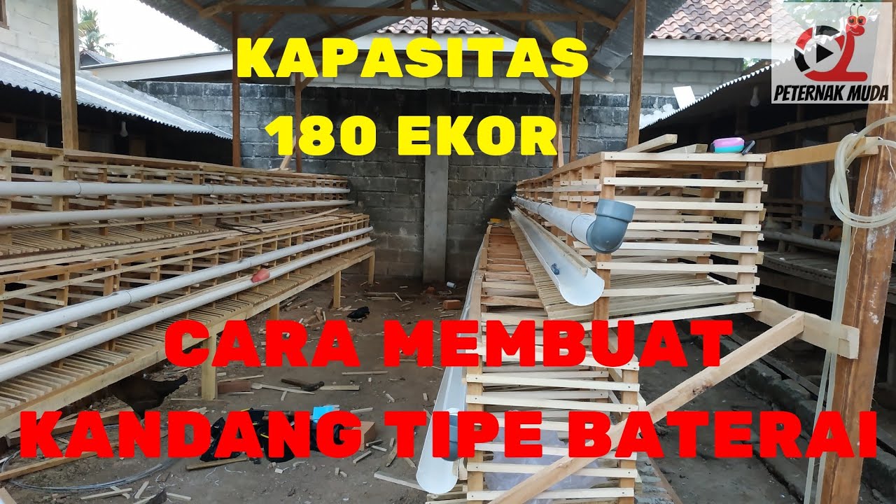 CARA MEMBUAT KANDANG TIPE BATERAI