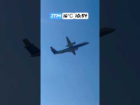 De Havilland Aircraft of Canada ANA Takeoff Osaka International Airport #takeoff #ana #dehavilland