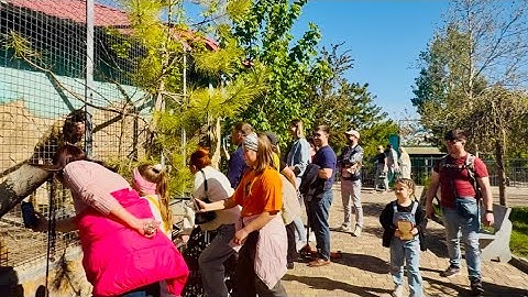 Люся , Степа, Маня и Тося устроили ЦЕЛОЕ ПРЕДСТАВЛЕНИЕ когда к ним зашли мама с папой)))