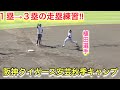 ベースランニング!走塁練習【阪神タイガース安芸秋季キャンプ】