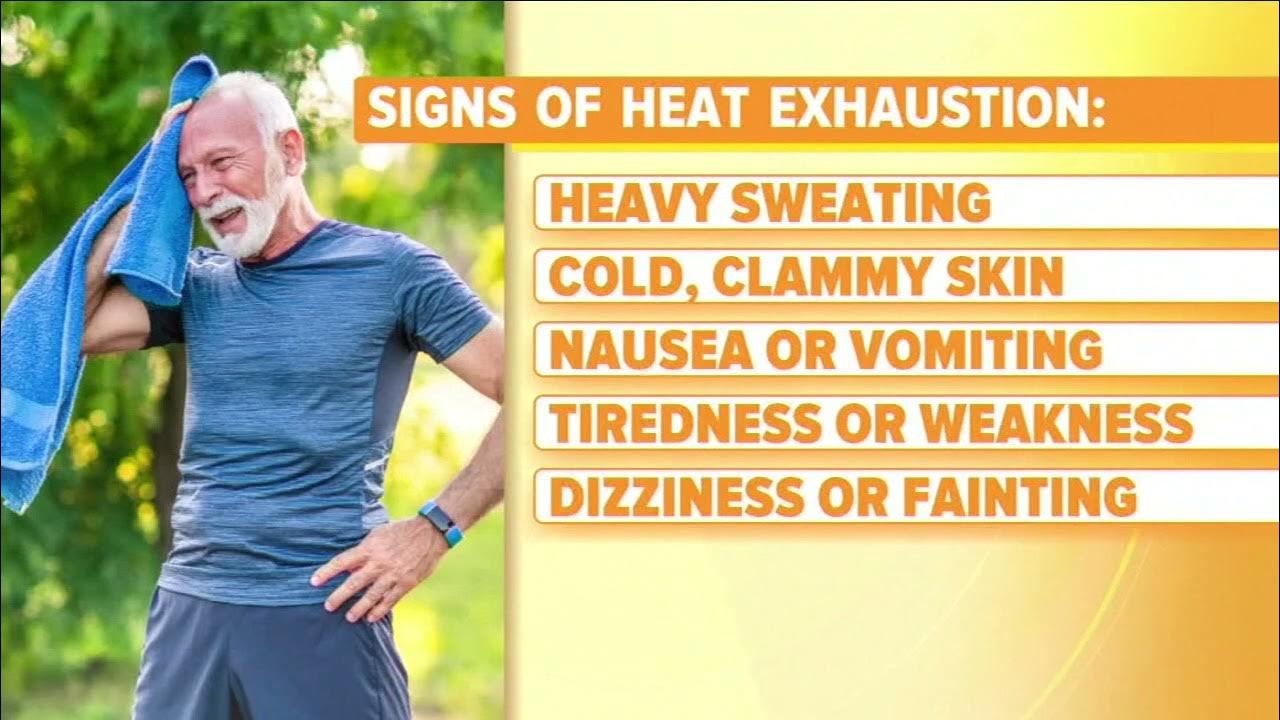 Heat exposure risks during pregnancy YouTube