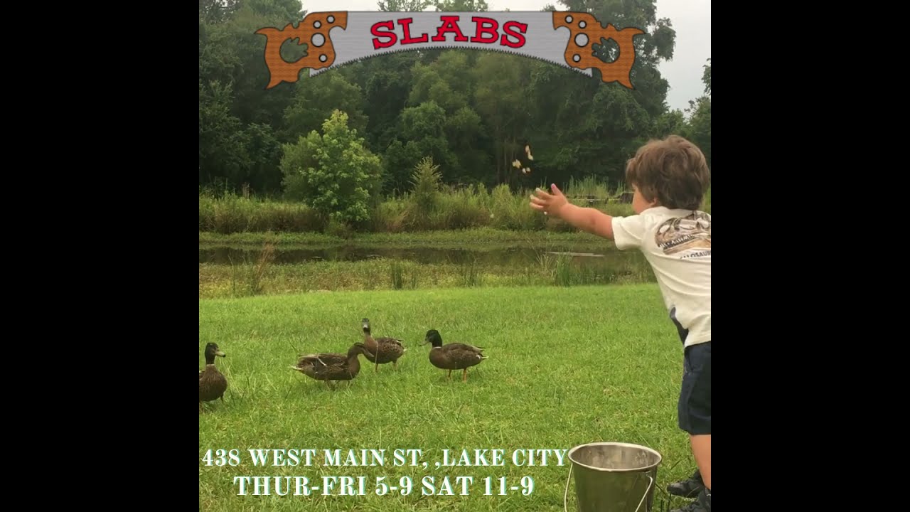Beautiful Kids Having Fun Feeding Ducks
