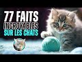 77 faits surprenants sur les chats   doc seven