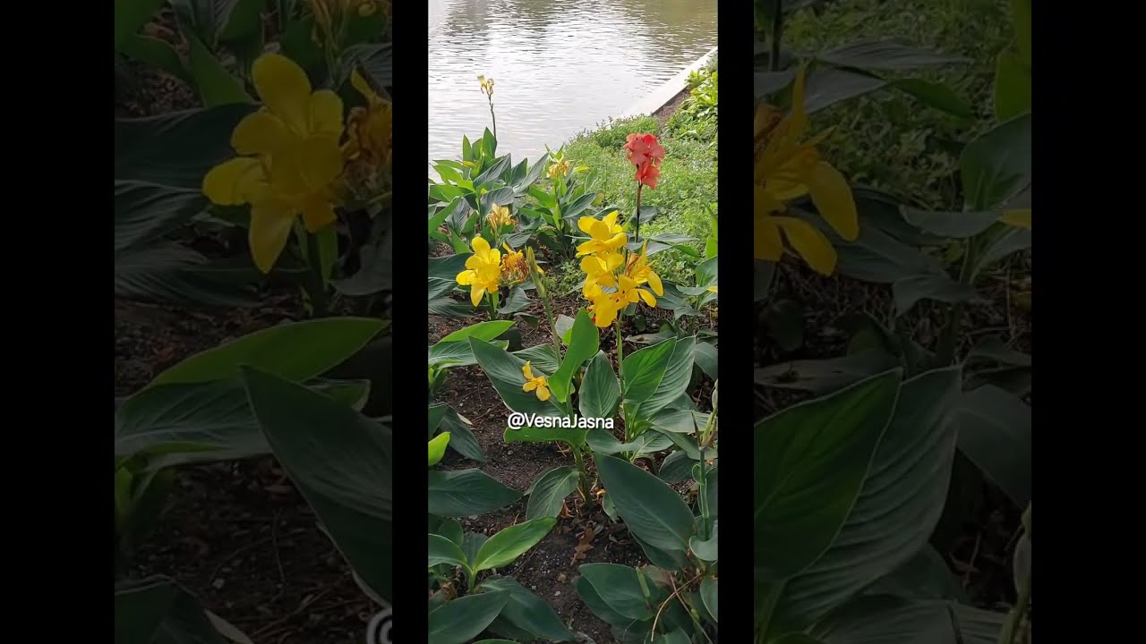 11. 2025год. архив поездок.