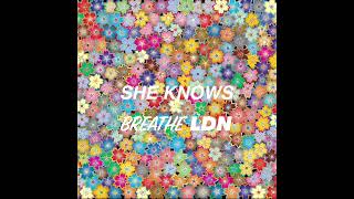 Breathe LDN - She Knows