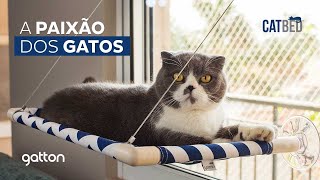 A Paixão dos Gatos - Cama de Janela para Gatos - CATBED Gatton