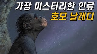 인류 진화사를 뒤흔든 호모 날레디!그들은 누구인가?