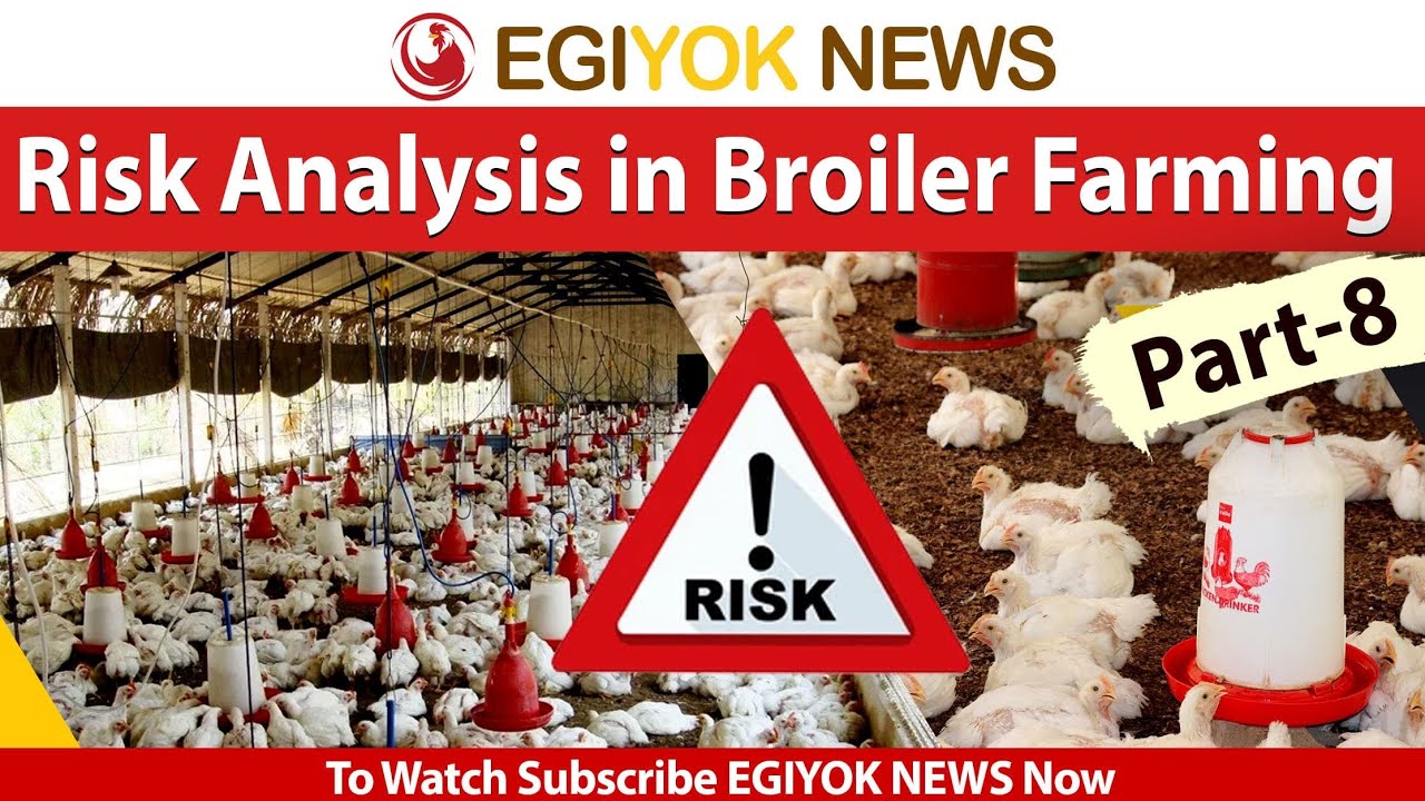 Poultry Farming Risks (Part -8) Expert Talk on BROILER FARMING: Risk Analysis in broiler ...