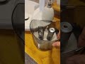 моющий пылесос .Чистка обивки дивана #cleaning