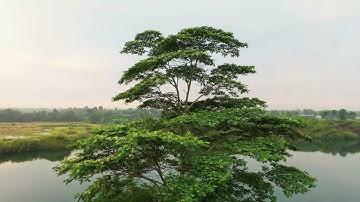 سورة الزلزلة ، بصوت القارئ ممدوح عامر