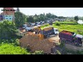 OMG ! Dump Truck​ So much, Processing Filling Up The Land, Bulldozer Komatsu D31P