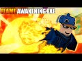 Flame awakeningexe