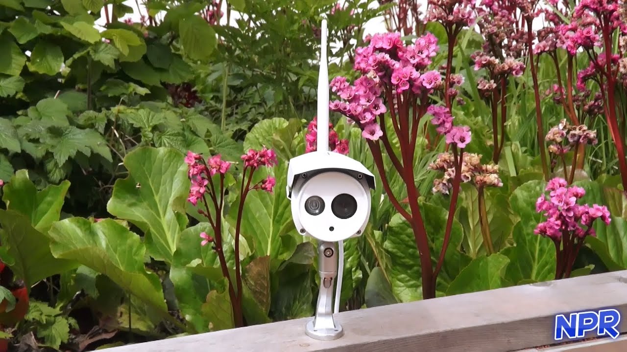 Foscam FI9803P Outdoor Security Camera Review