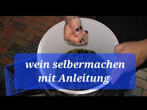 Wie Macht Man Wein Selber
