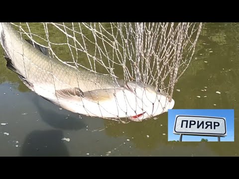 Рыбалка на реке