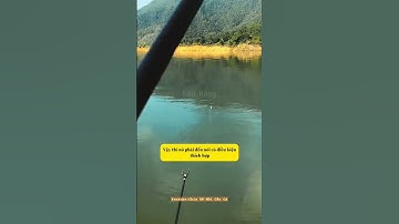 Hướng dẫn câu cá diếc vào mùa xuân #fishing #cauca #câucá #dammecauca #moicauca #fishingvideo