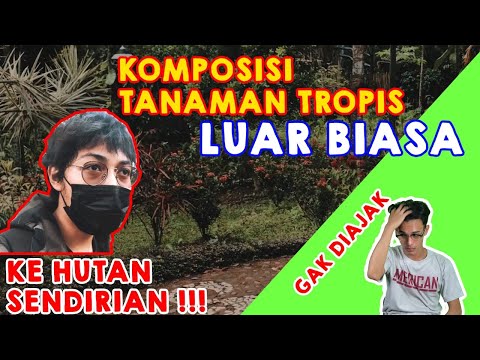 Video: Komposisi Lansekap - Alat Untuk Menemukan Tampilan