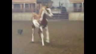 MVI_0158.AVI