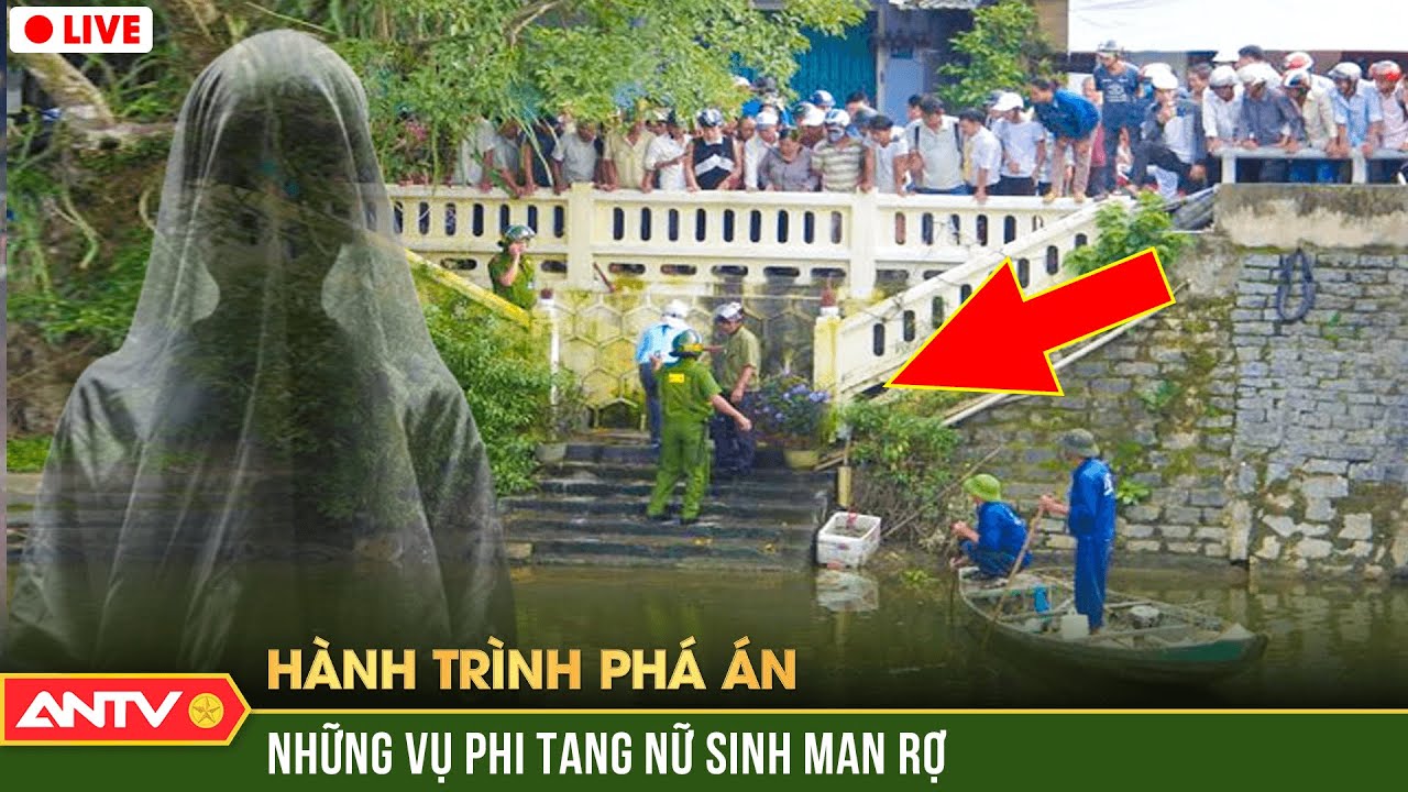 Phá án IQ 300 chỉ bằng một miếng dán vết thương - tóm tắt phim Hide