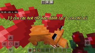 Cách thuần hóa con cáo trong minecraftpe | Chuột TV