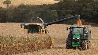 Maïs grain 2021, New Holland cr 9080/ John Deere 8r 310