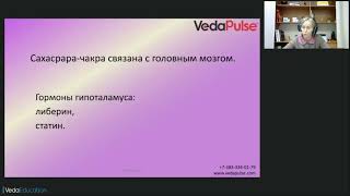 Образовательный онлайн-курс «ВедаПульс». Тема лекции: Сахасрара
