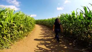 tanaka farms 10 18 2014