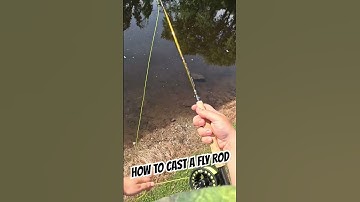 How To Cast A Fly Rod