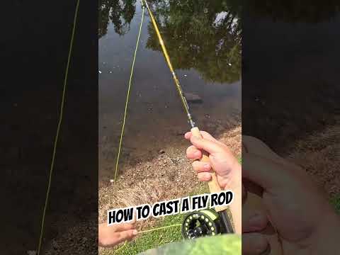 How To Cast