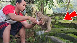 WOW! LILY and all-monkey gate milk from me-they are so lovely