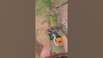Chasing limbs in. #arbortec #treework #arborist #chainsaw