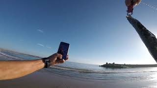 今日の釣り（一宮中央）2020-08-29（ヒラメ マゴチ シーバス 青物）