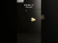 チョコレートタイマグロのたい焼き Taiyaki of Chocolate tuna