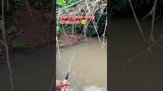 Mancing Ikan Wader Di Sungai Lurr mancing microfishing fishing