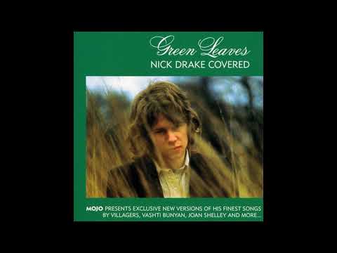 Bill Ryder-Jones - Pink Moon