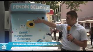 Sokak Hayvanlarını Besleyen Geri Dönüşüm Ünitesi