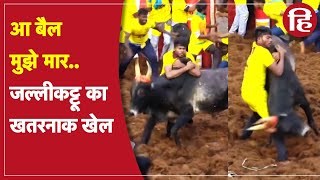 Jallikattu 2022: Tamil Nadu और Andra Pradesh में जल्लीकट्टू का खेल, पुलिसकर्मी समेत कई लोग जख्मी screenshot 2