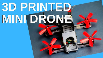 2 Inch Mini Drone - 3D Printed