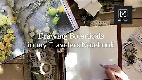 Botanical Drawing in my Travelers Notebook