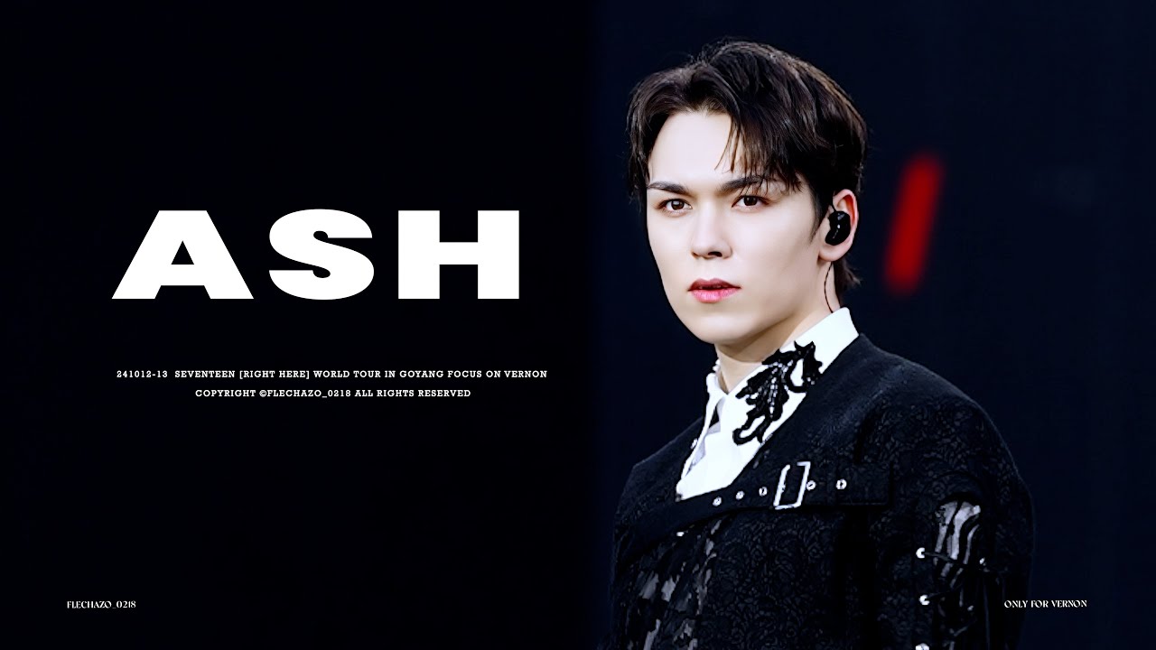 [241012-241013 RIGHT HERE in GOYANG  ]ASH - VERNON FOCUS 버논 직캠