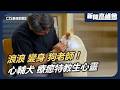 從浪浪到「狗老師」 心輔犬翻轉命運療癒受傷心靈｜新聞高峰會 生命中的毛孩天使｜華視新聞 20260607｜浪浪 心輔犬