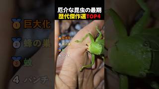 厄介な昆虫の最期歴代傑作選TOP4