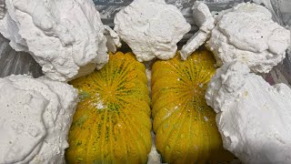 Huge Pasted Chalks \u0026 Extreme DUSTY Reforms • Gymchalk Crush • Oddly Satisfying • ASMR 