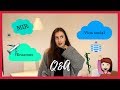 Q&A MEDICINA (Vida social, Erasmus, MIR...) || Ana Blanca