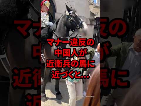 【マナー違反】マナー違反の中国人が近衛兵の馬に近づくと...3秒後!? #海外の反応 #中国 #日本 #shorts