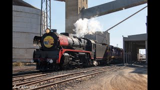 R707, N459 and A66 around Dunolly on 'The Grainlander'- 26/5/24