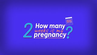 Self-Managed Abortion: How Many Weeks Pregnant Am I? | Episode 2