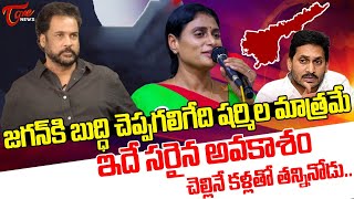 Actor Sivaji Latest Comments On YS Sharmila | YS Jagan | AP Next CM | TDP Vs YCP | Tone News