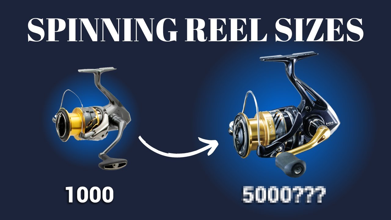 Explaining SPINNING REEL Sizes (1000, 2500, 5000) 