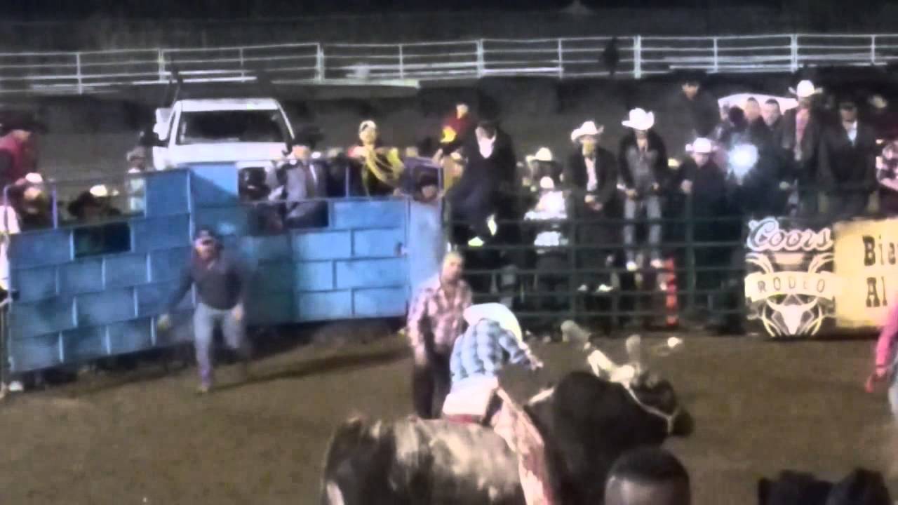 Bull Riding Colusa, CA "Accident" YouTube